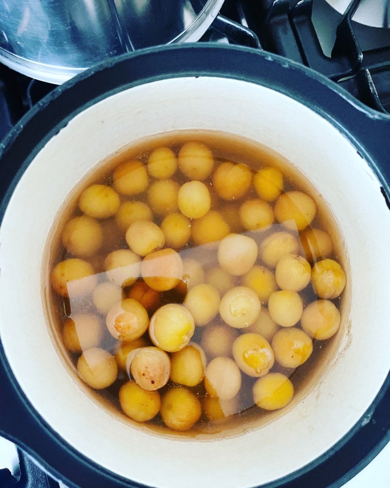 Stewed Pakistani dried apricots with a spoonful of double cream ...